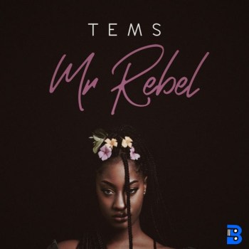 Tems – Mr Rebel