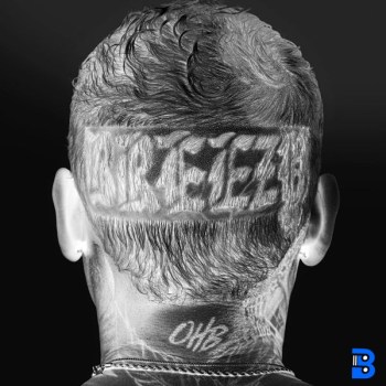 Chris Brown – Nobody Has To Know ft. Davido