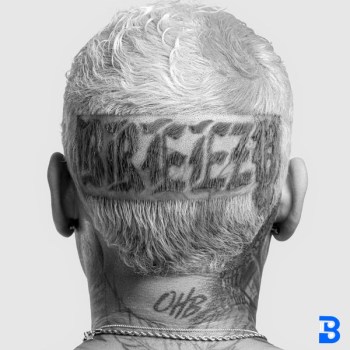 Chris Brown – On Some New Shit