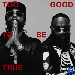 Too Good To Be True Album