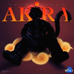 AKIRA Album