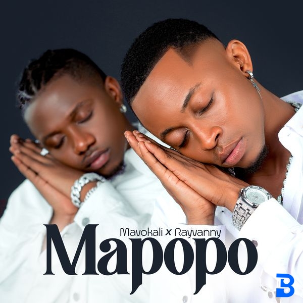 Mavokali – Mapopo (Remix) ft. Rayvanny