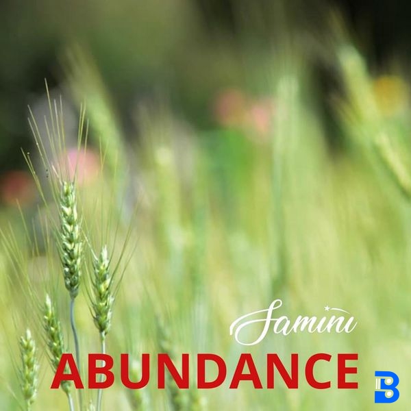 Samini – Abundance