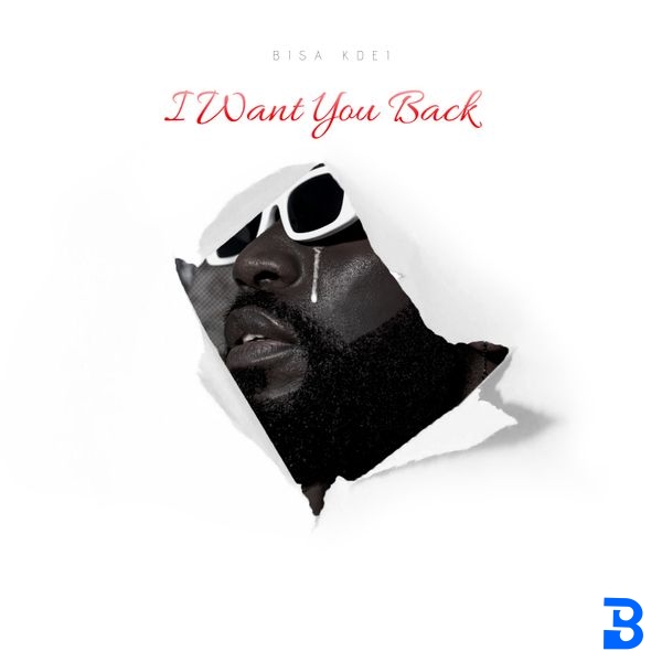 Bisa Kdei – I Want You Back