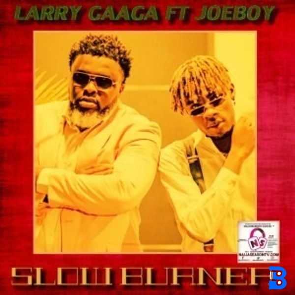 Larry Gaaga x  Joeboy – Slow Burner | NaijaseasonTv.com