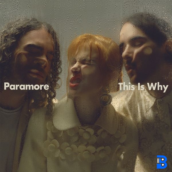 Paramore – Liar
