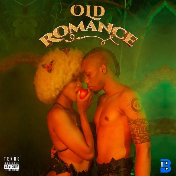 Old Romance Album