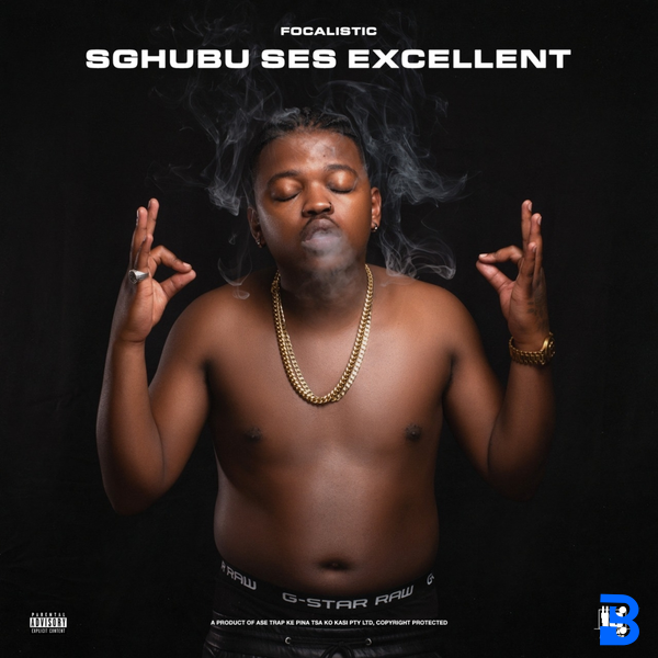 Sghubu Ses Excellent Album