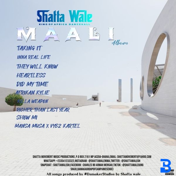SHATTA WALE – DID MY TIME
