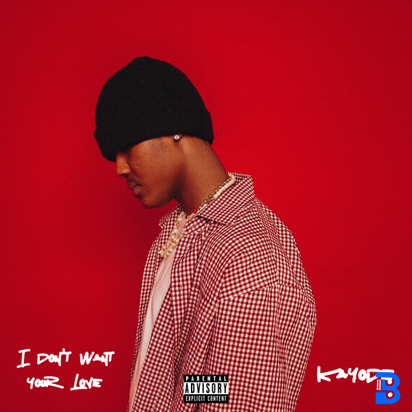 Kayode – I Don't Want Your Love