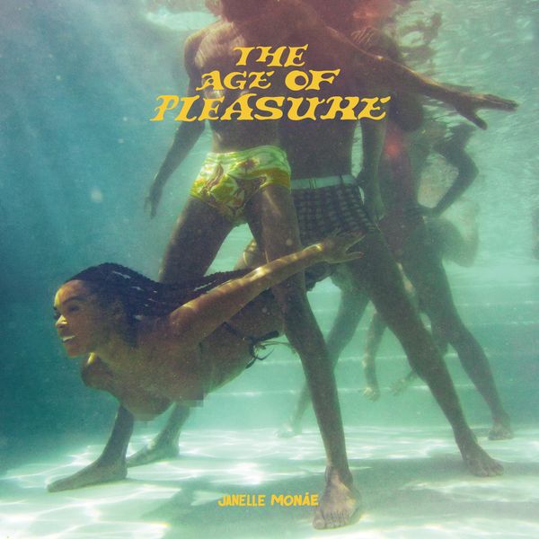 The Age of Pleasure Album