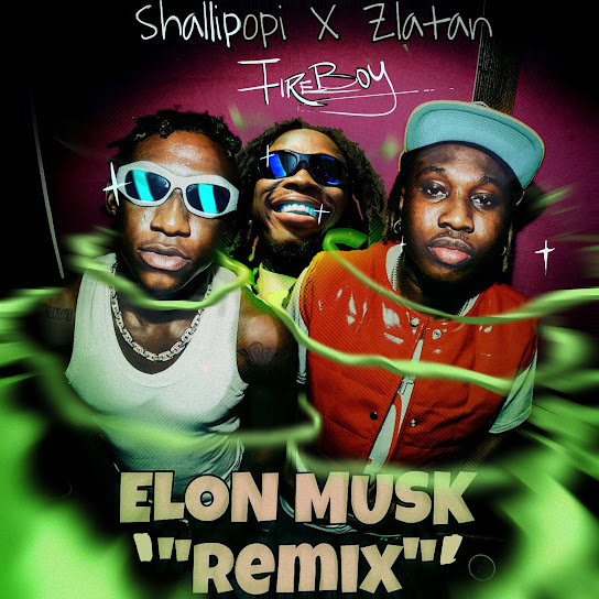 Shallipopi – Elon Musk (Remix) ft Fireboy DML & Zlatan