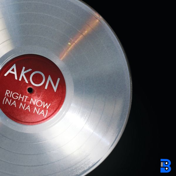 Akon – I'm So Paid ft. Lil Wayne & Young Jeezy