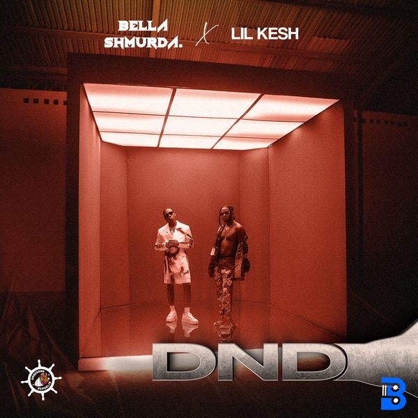 Bella Shmurda – DND ft. Lil Kesh