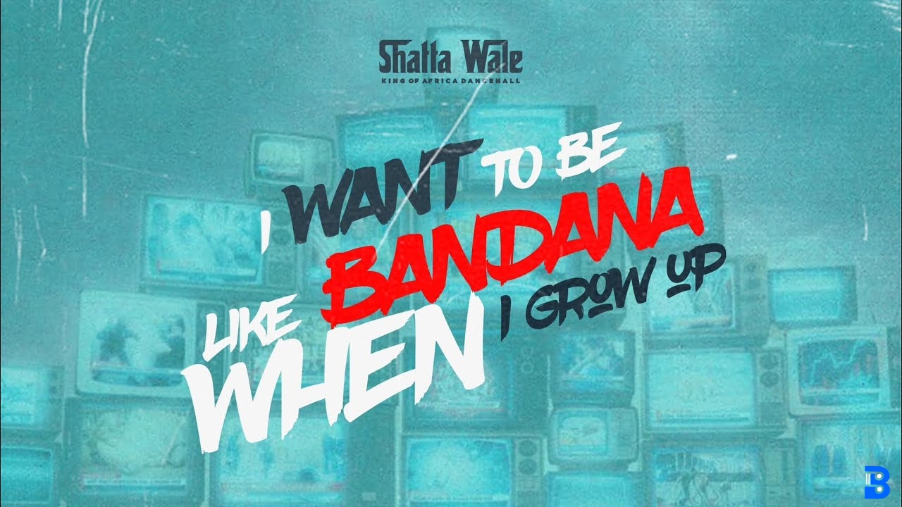 Shatta Wale – I want to be like bandana