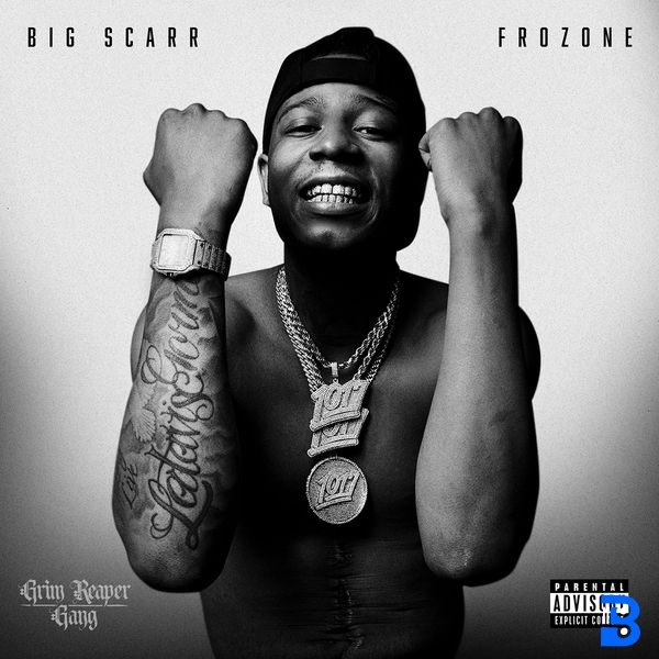 Big Scarr – King of the Jungle